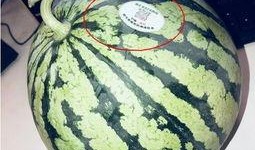 亳州网红吃瓜,揭秘当地美食文化新潮流